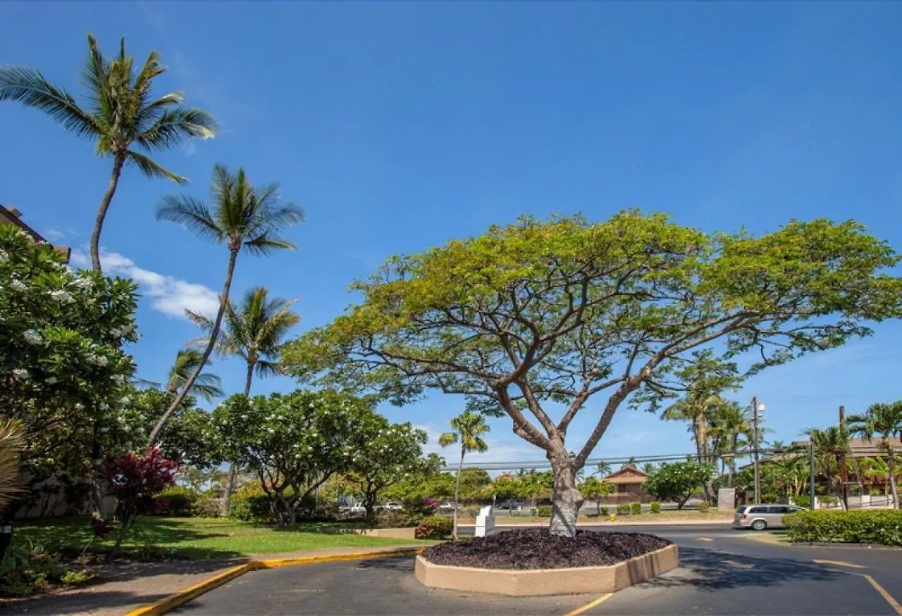 Holiday home Maui Vista 1421 - Mch Villa Kihei
