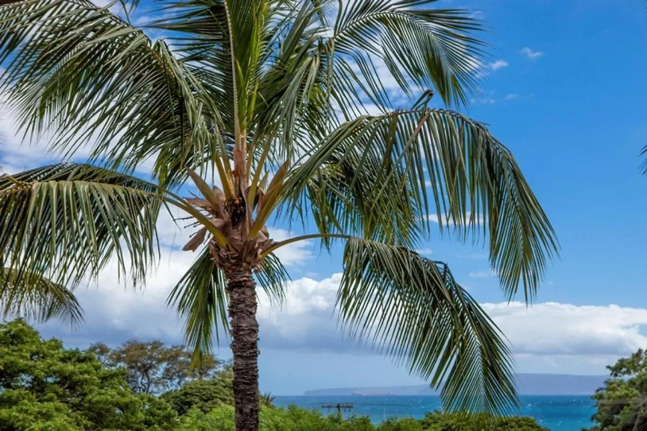 Vila Maui Vista 1421 - Mch Kihei USA